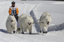 Kandersteg 2013